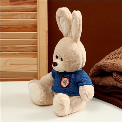 Мягкая игрушка «Заяц», в свитере, 25 см, цвет МИКС
