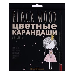 Карандаши 24 цвета BlackWoodColor, пластиковые, трёхгранные, МИКС