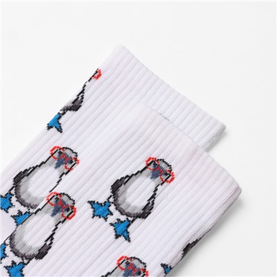 Носки "Модный пингвин", цвет белый, размер 23-27 (38-41)