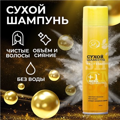 Сухой шампунь Secret Beauty «Professional», 200 мл