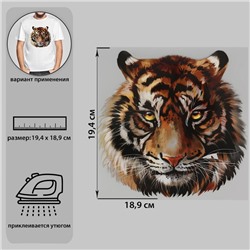 Термотрансфер «Тигр акварельный», 19,4 × 18,9 см