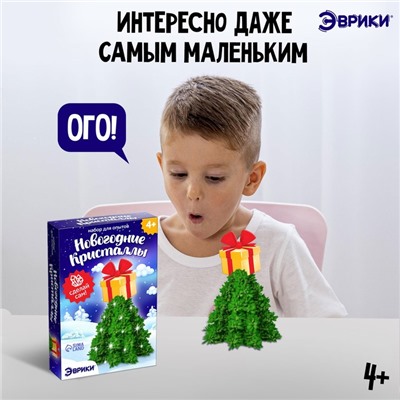 Набор для опытов «Новогодние кристаллы», подарок