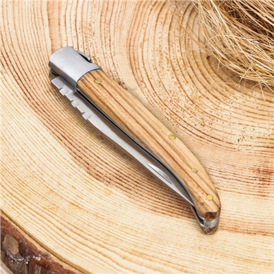 Нож складной "Плющ" 19,5см, клинок 90мм/2мм, рукоять дерево