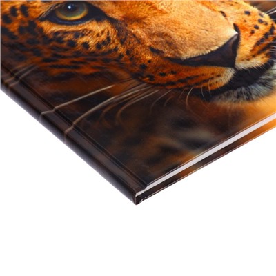 Дневник для 5-11 классов, "Леопард", твердая обложка 7БЦ, глянцевая ламинация, 48 листов
