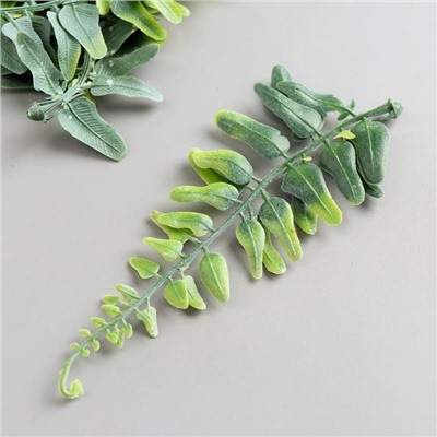 Набор декоративных листиков "Астра 62" 13 см(4шт), зелёный