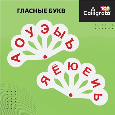 Набор веер-касс, гласные, согласные, цифры от 1 до 20, Calligrata TOP, плотные, 3 штуки, пакет с европодвесом