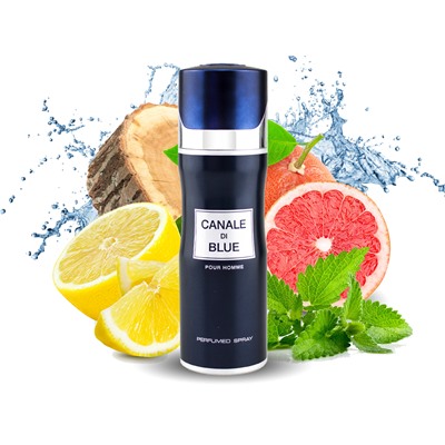 Спрей-парфюм для мужчин Fragrance World Canale Di Blue Pour Homme, 200 ml