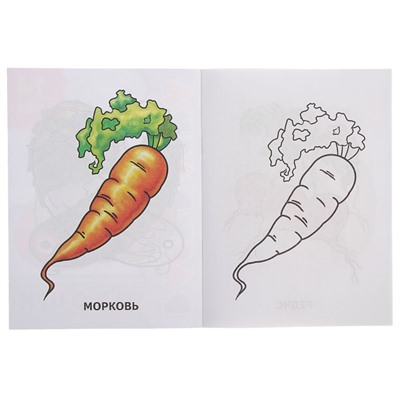 Раскраска «Овощи»