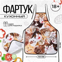 Фартук кухонный «Коты», полноцветный