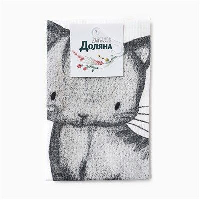 Полотенце кух.Доляна "Meow" 35х60 см, 100% хл, 160г/м2