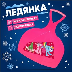 Ледянка My little pony Winter ponies