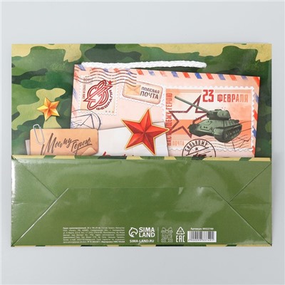 Пакет ламинированный «Полевая почта», MS 23 х 18 х 8 см