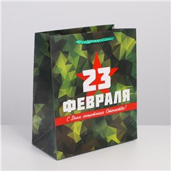 Пакет ламинированный горизонтальный «Защитник», ML 23 × 27 × 11,5 см