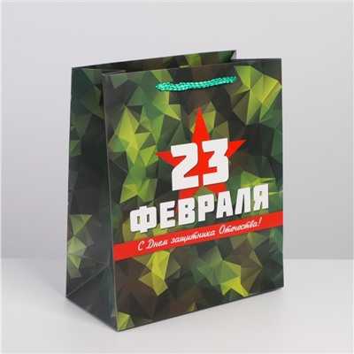 Пакет ламинированный горизонтальный «Защитник», ML 23 × 27 × 11,5 см