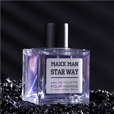 Туалетная вода мужская Maxx Man StarWa, 100 мл