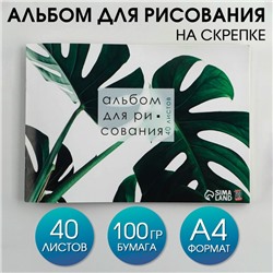 Альбом для рисования на скрепках А4, 40 листов «Растение» (мелованный картон 160 гр бумага 100 гр).