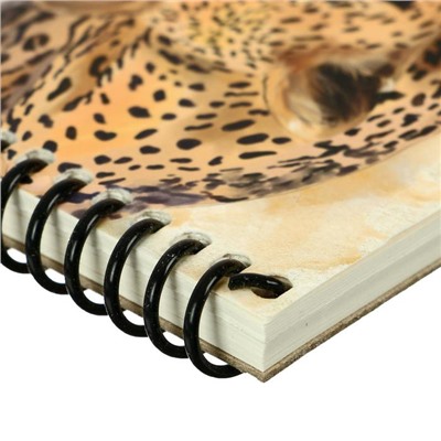 Скетчбук А6, 40 листов на гребне «Дикий леопард», жёсткая подложка, обложка мелованный картон, блок 100 г/м2