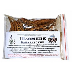 Шлёмник байкальский Данила Травник 100 гр.