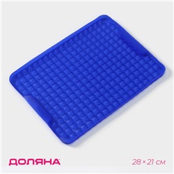 Коврик-антижир Доляна, силикон, 28×21 см, цвет синий