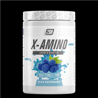 Комплекс Аминокислот X-Amino 2SN 360 гр.