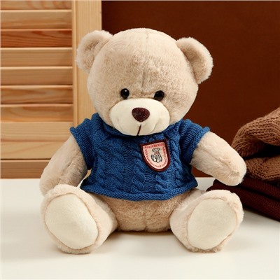 Мягкая игрушка «Медвежонок» в свитере, 25 см, цвет МИКС