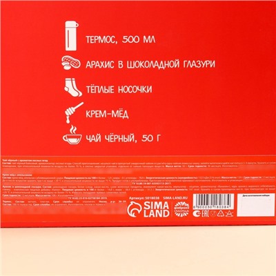 Подарочный набор «Тепла и уюта»: чай 50 г, крем-мед 120 г, носки 36-39 р, термос 500 мл, арахис в глазури 100 г