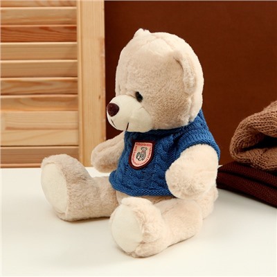Мягкая игрушка «Медвежонок» в свитере, 25 см, цвет МИКС