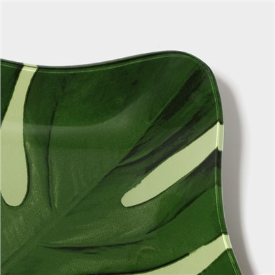 Блюдо стеклянное сервировочное Доляна «Монстера», 21×21 см, цвет зелёный