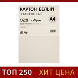 Картон белый А4, 6 листов, 200 г/м2 Calligrata, немелованный на скобе, ЭКОНОМ