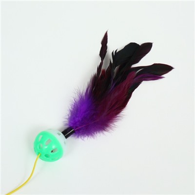 Дразнилка-удочка "Канарейка", 50 см, шар зелёный/белый, фиолетовые перья