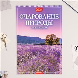 Календарь перекидной на ригеле "Очарование природы" 2024 год, А3