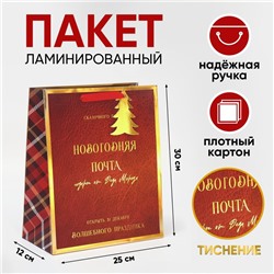 Пакет ламинированный вертикальный «Новогодняя Почта»,  25,4 × 30,5 ×12,7 см